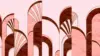 Rose Arch Pattern Wallpaper