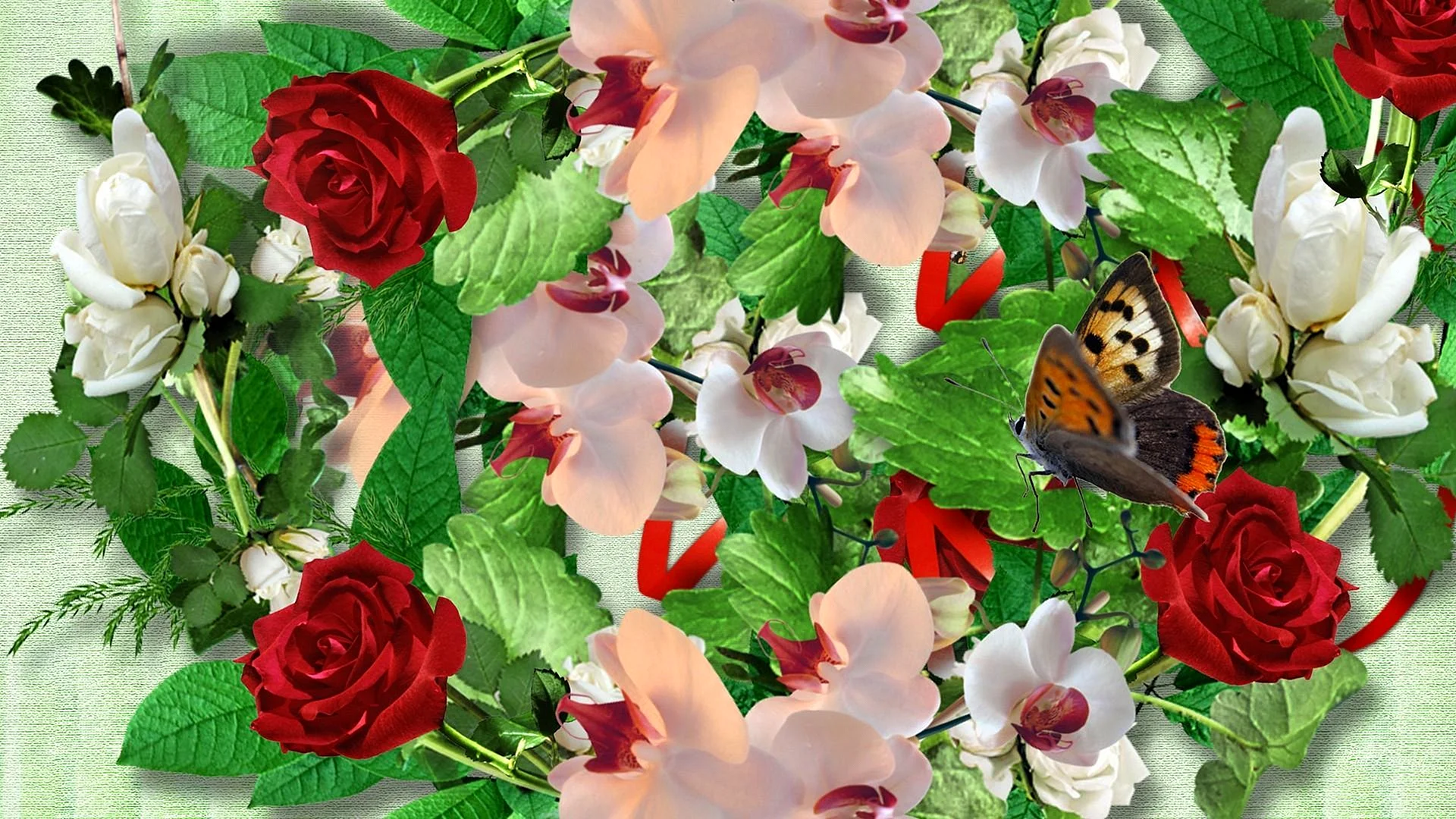 Rose Butterfly Wallpaper