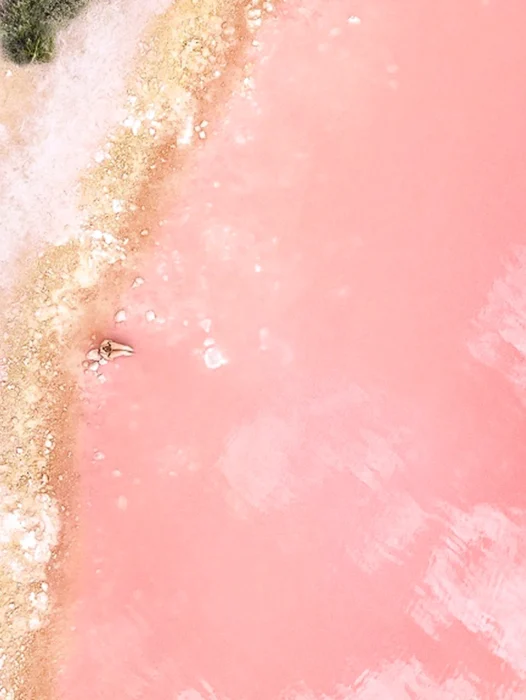 Rose Gold Pink Marble Wallpaper