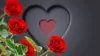 Rose Heart Wallpaper
