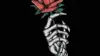 Rose Tattoo Wallpaper