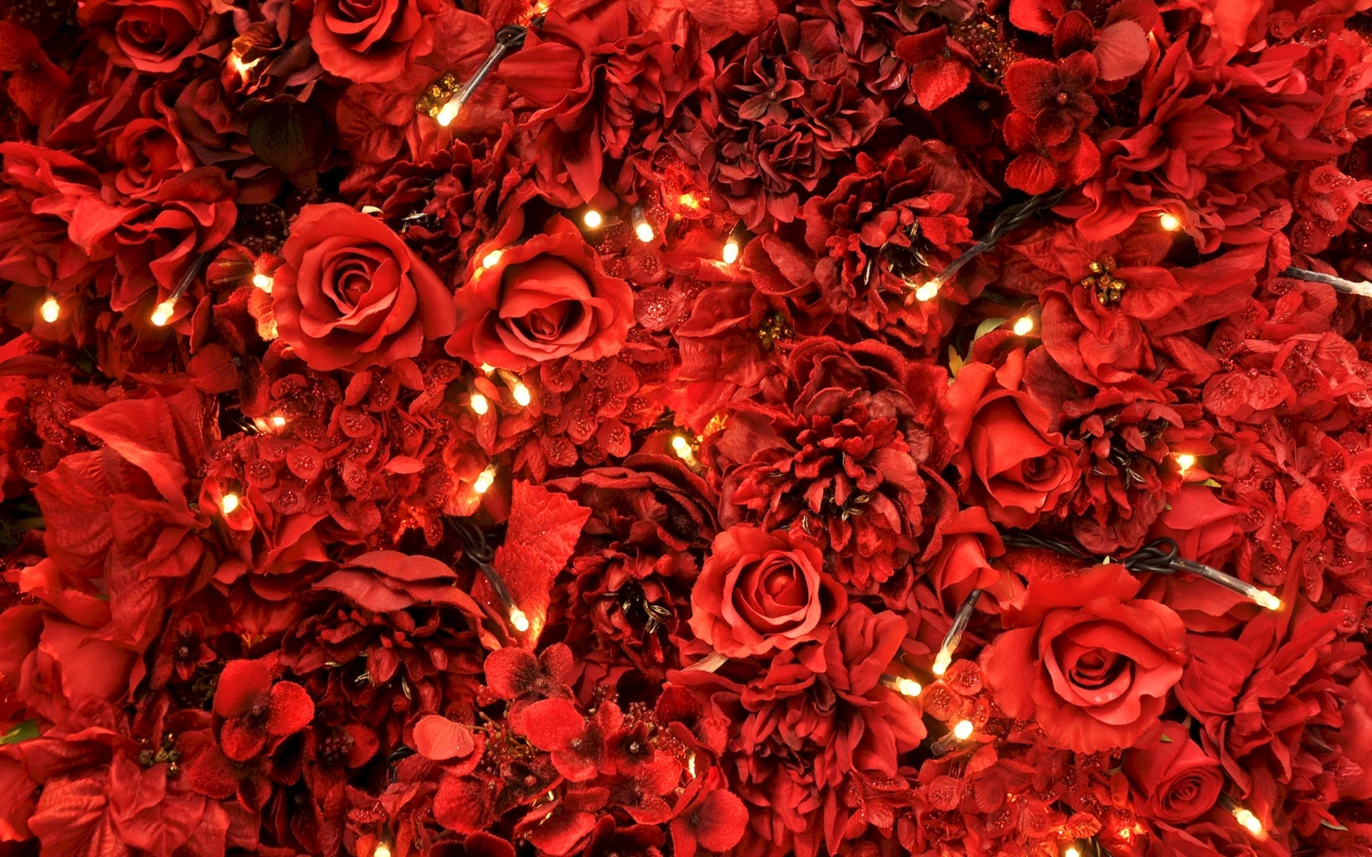 Roses Wallpaper