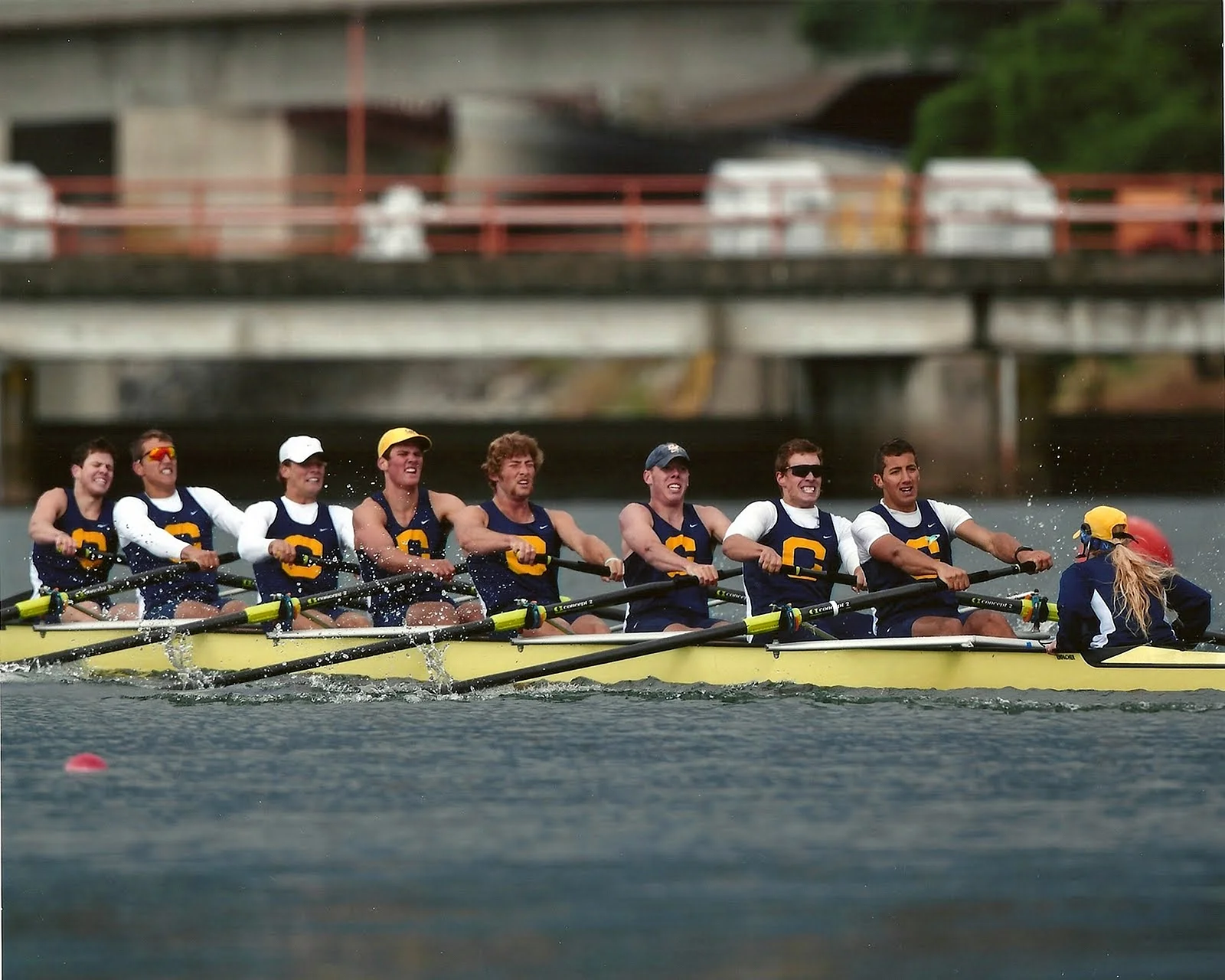 Rowing Race Wallpaper