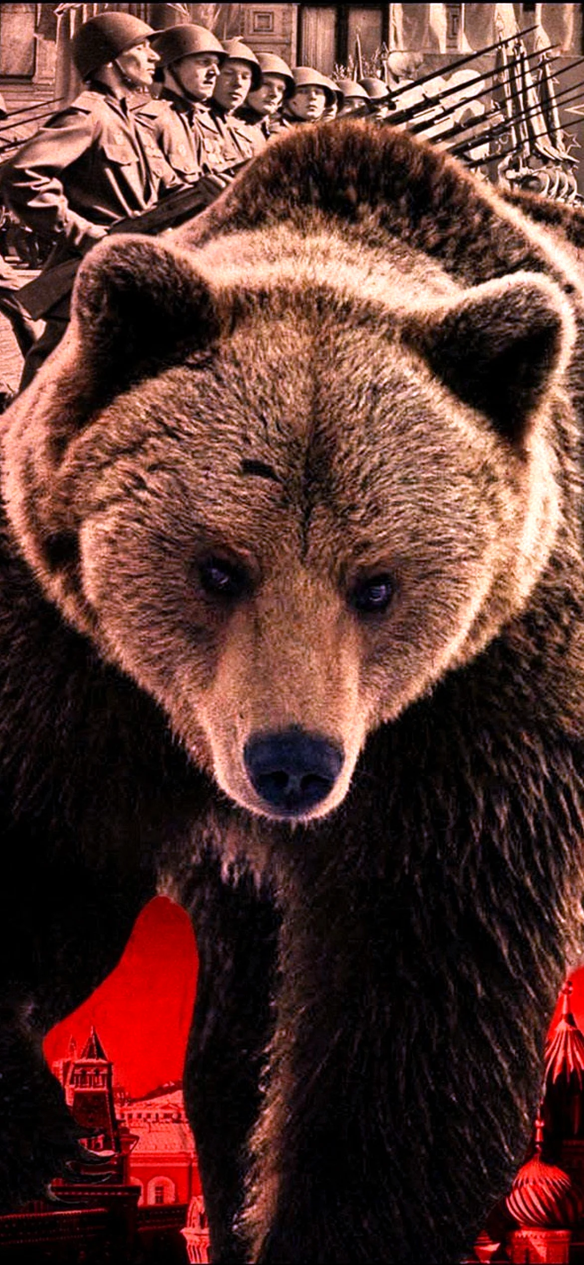 Russian Bear Wallpaper for iPhone 14