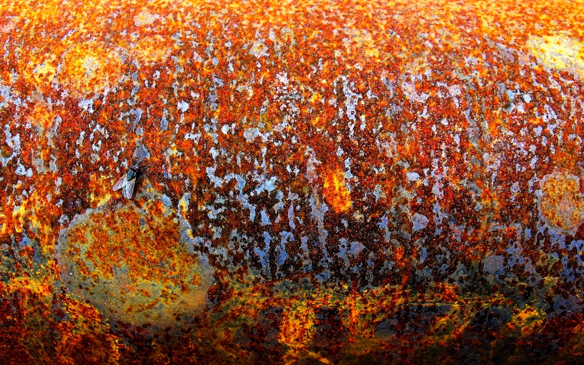 Rusty Orange Wallpaper