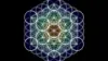 Sacred Geometry Flower of Life