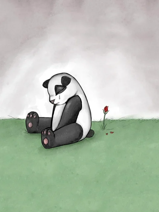 Sad Panda Exhentai Wallpaper