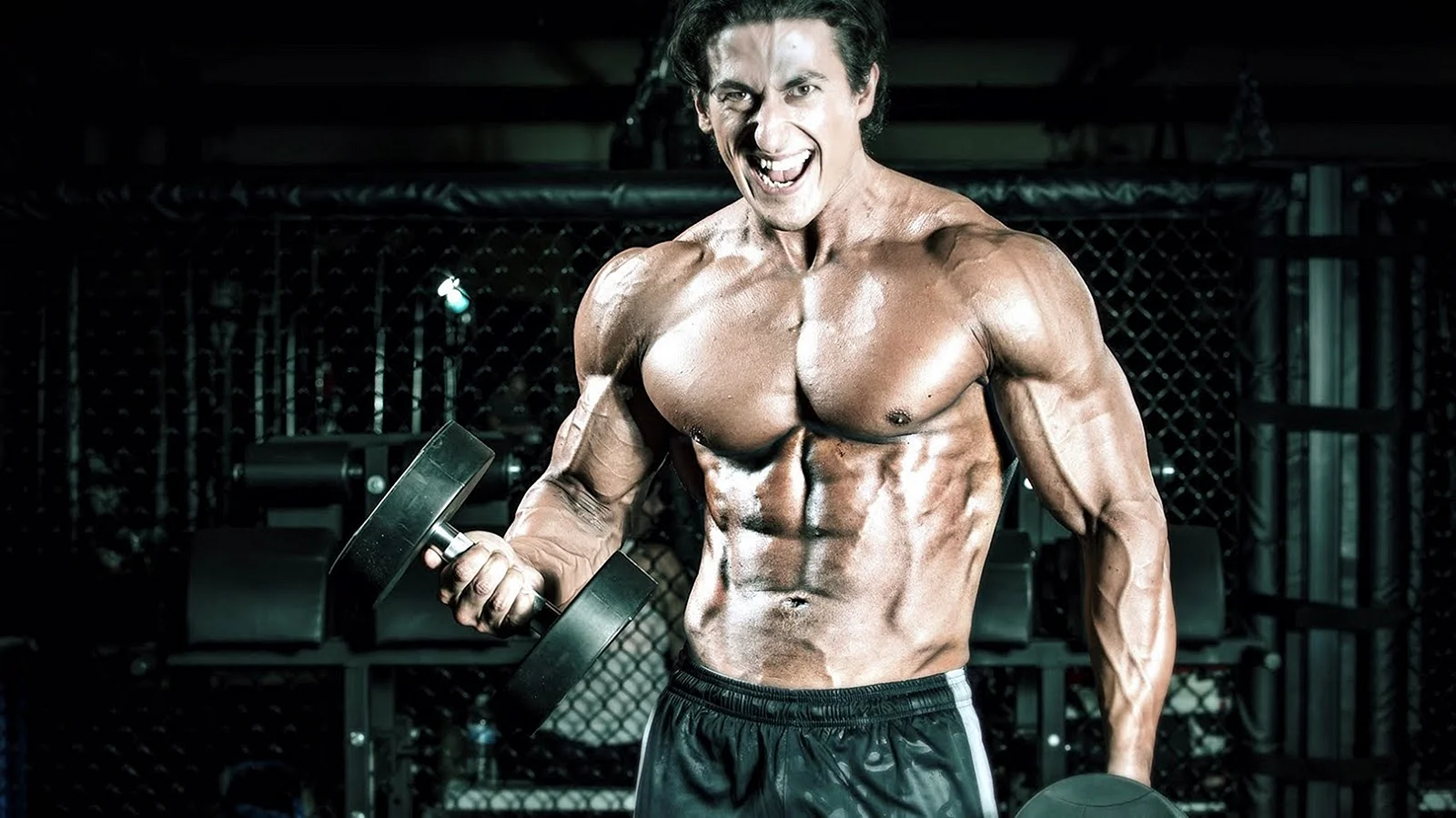 Sadik Hadzovic Wallpaper