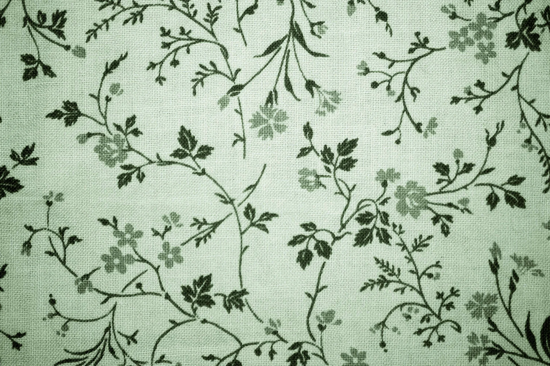 Sage Green Wallpaper