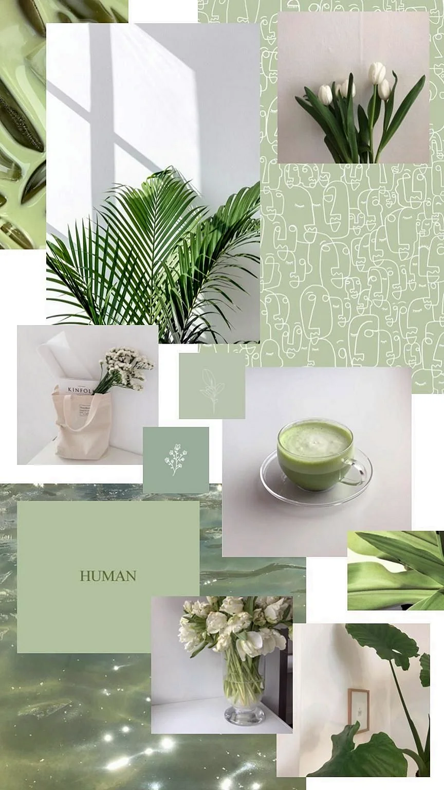 Sage Green Wallpaper