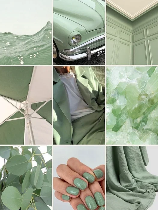 Sage Green Aesthetic Wallpaper