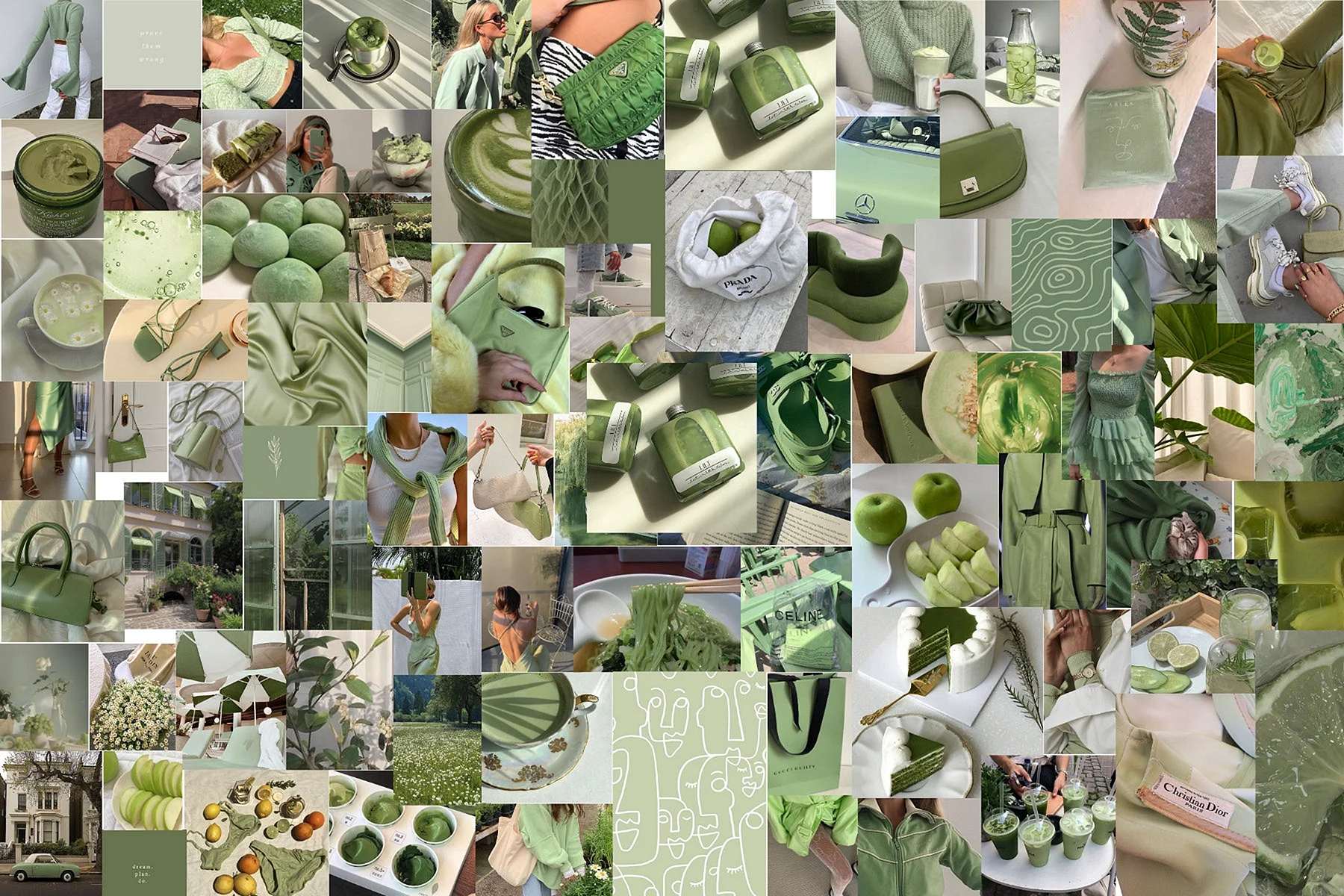 Sage Green Aesthetic Wallpaper