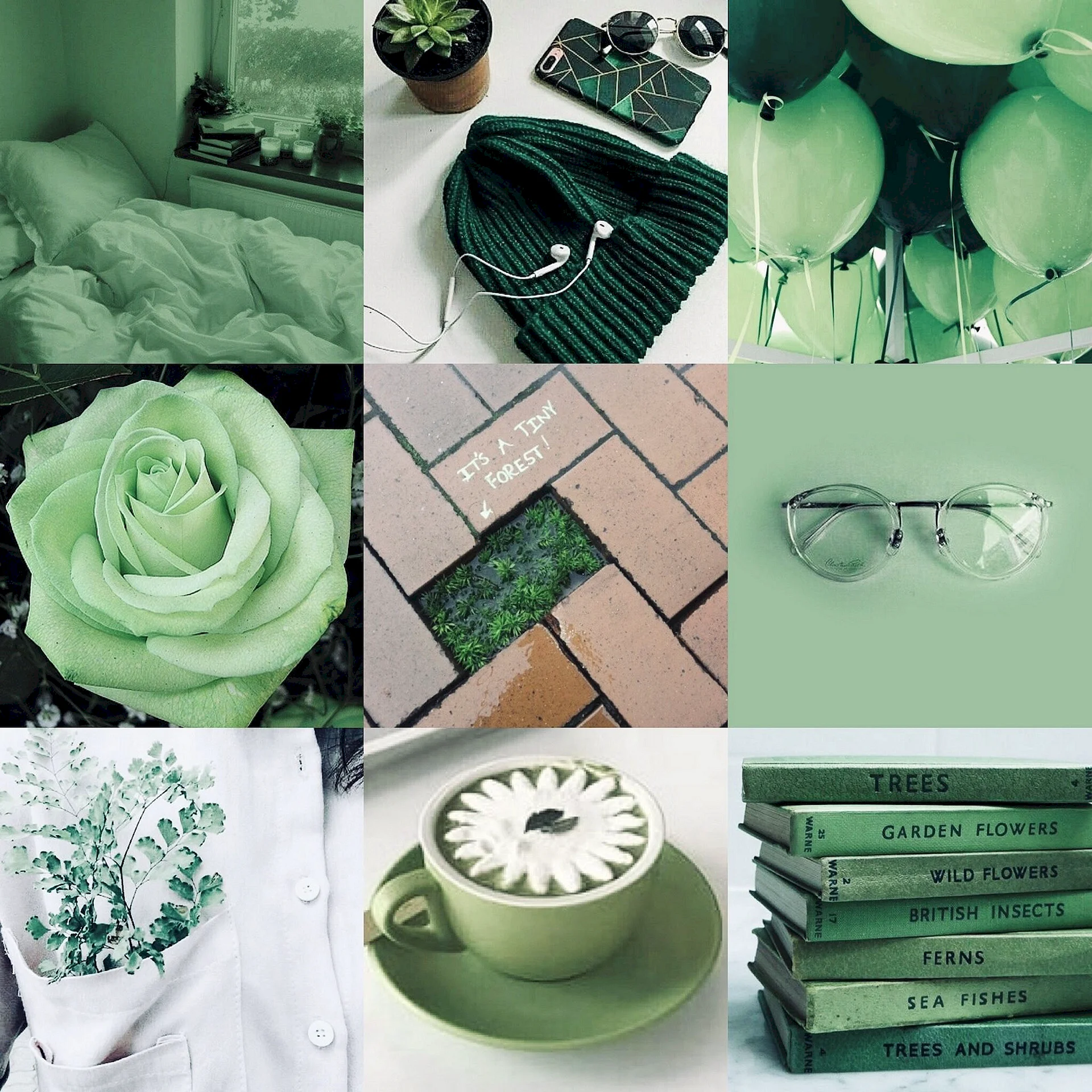 Sage Green Aesthetic Wallpaper