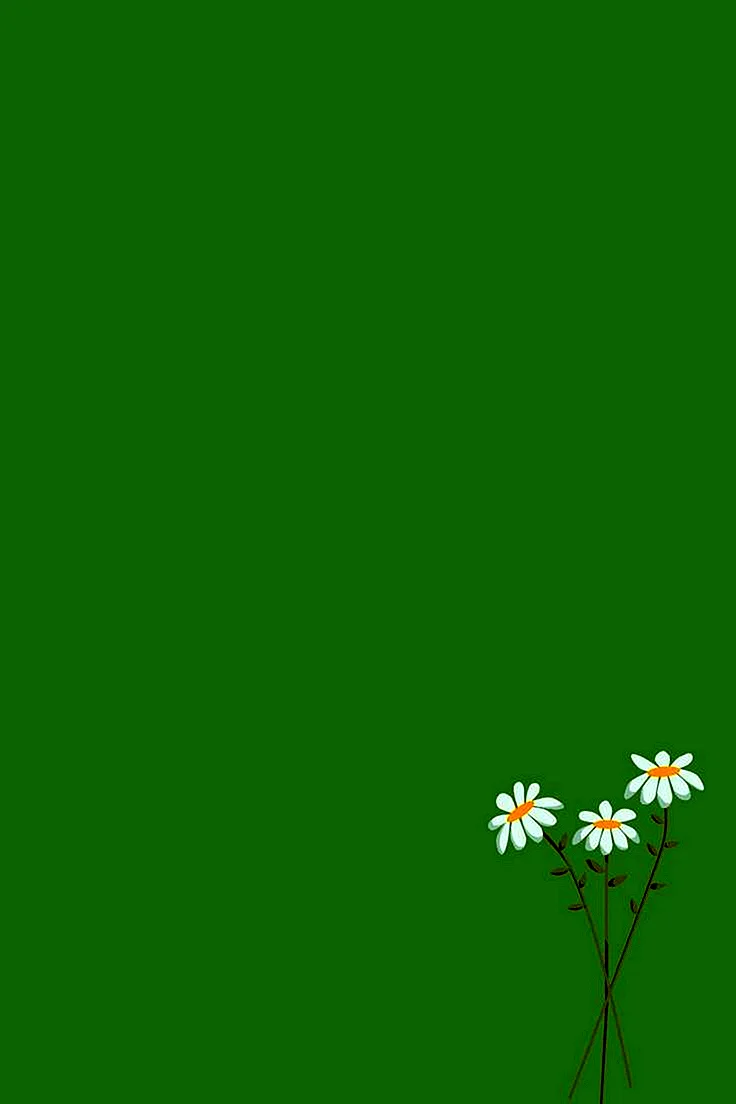 Sage Green Wallpaper For iPhone