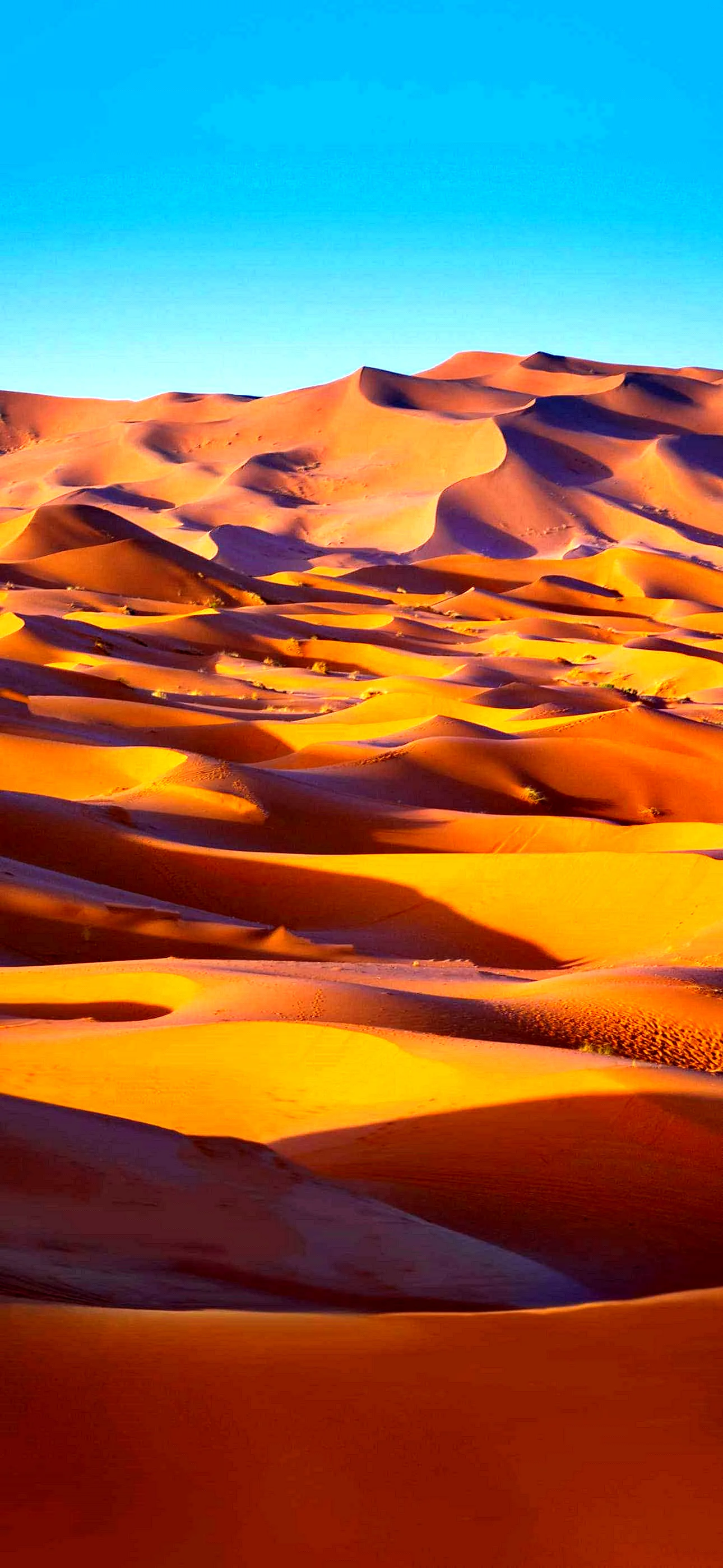 Sahara Desert Wallpaper for iPhone 14 Pro Max