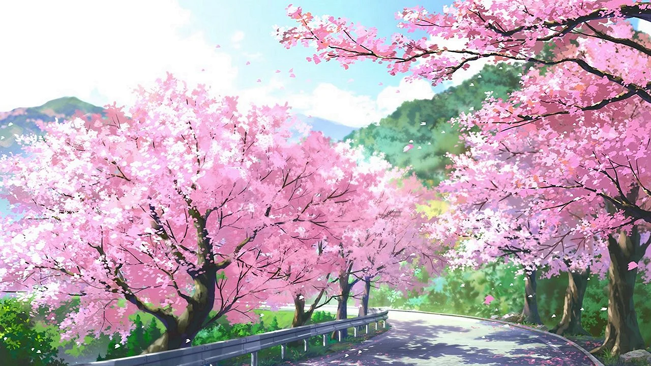 Sakura anime