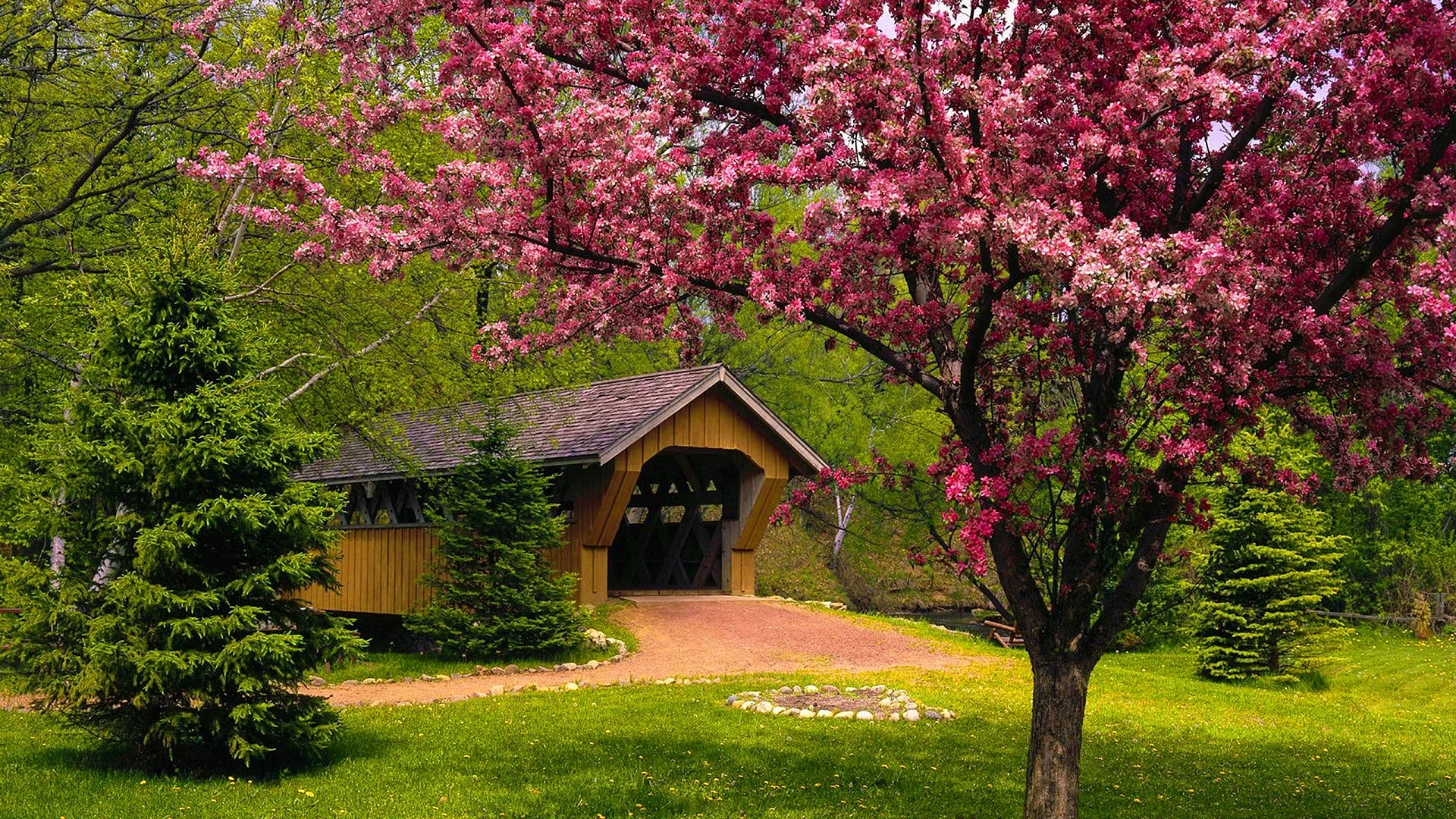 Sakura Forest Wallpaper