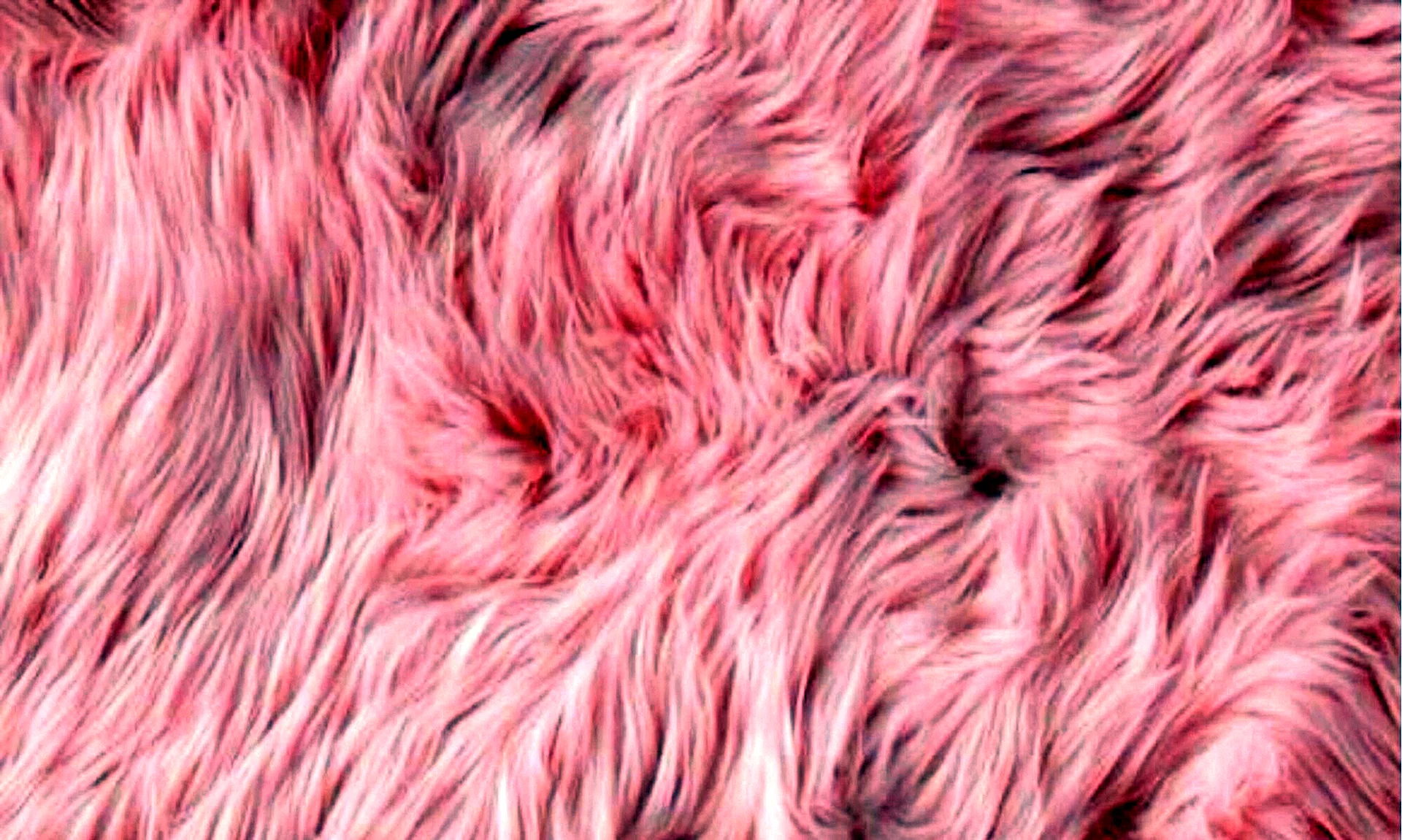 Salmon Pink Background Wallpaper