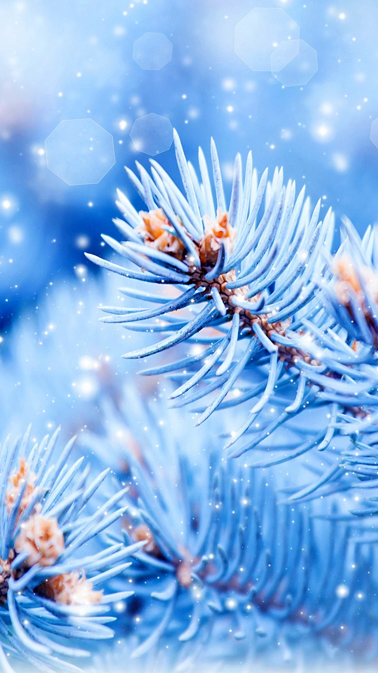 Samsung Winter Wallpaper For iPhone