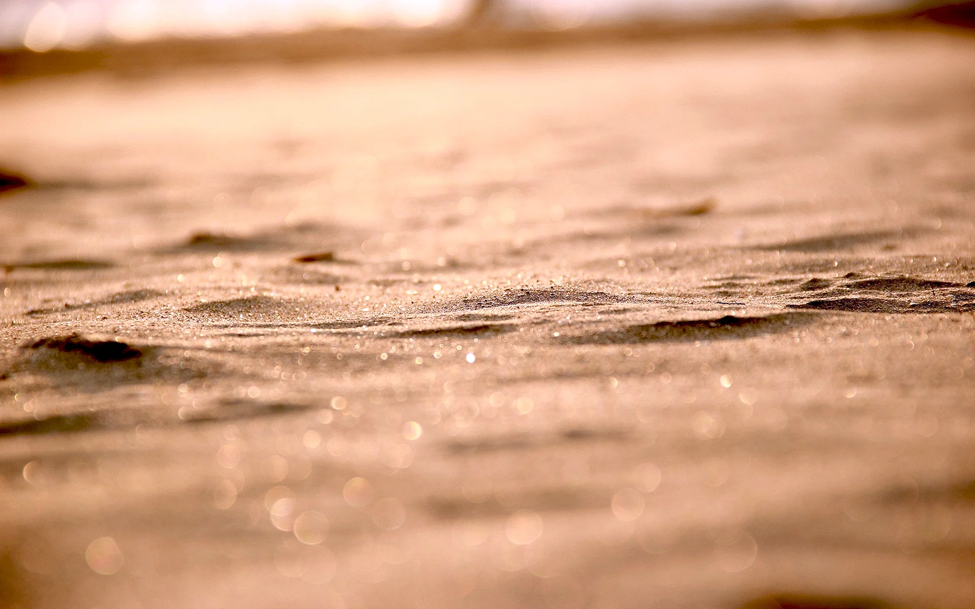 Sand Ground Macro Wallpaper