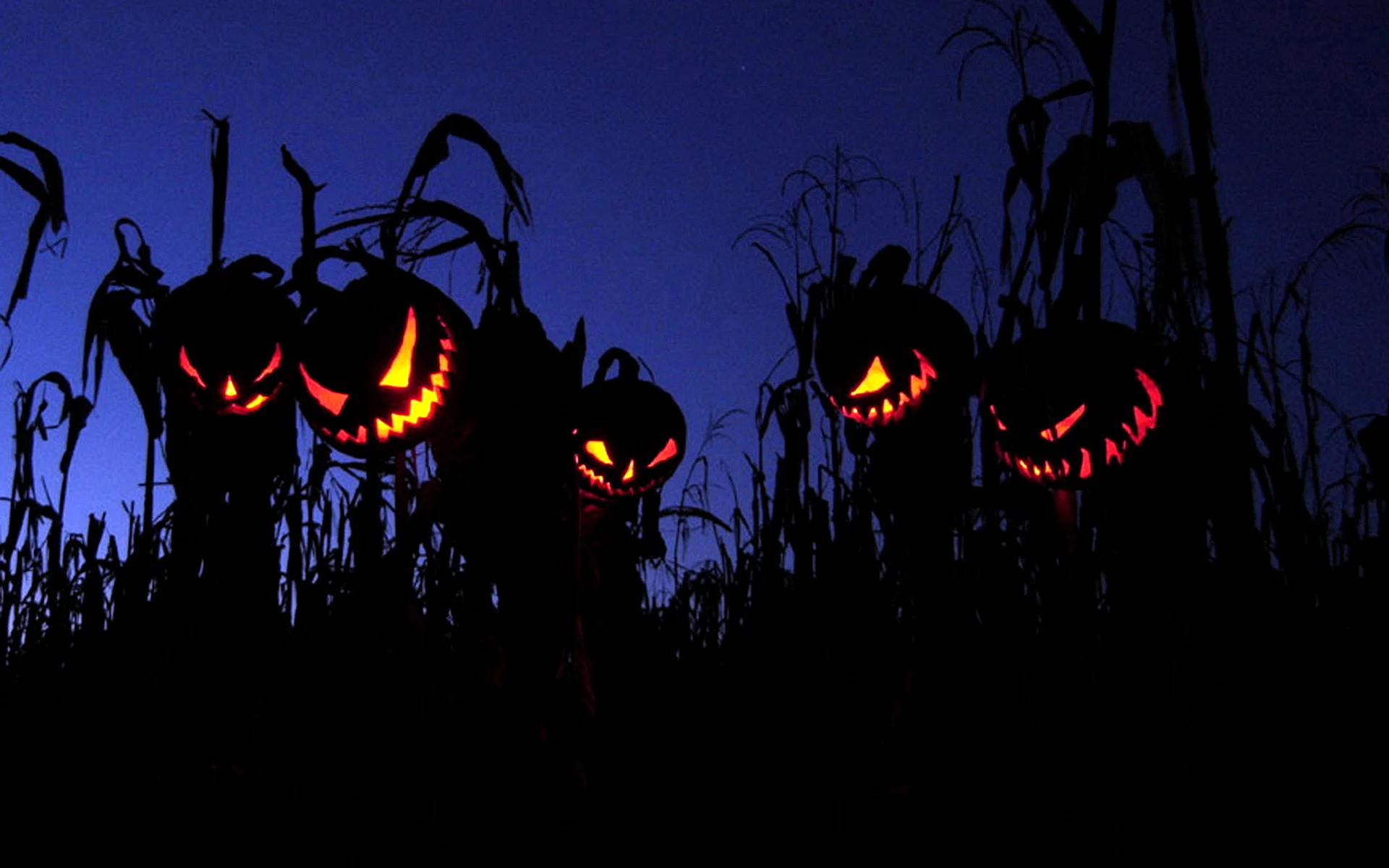 Scary Halloween Wallpaper