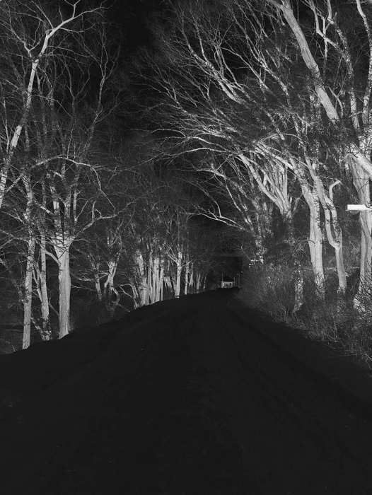 Scary Road Wallpaper For iPhone