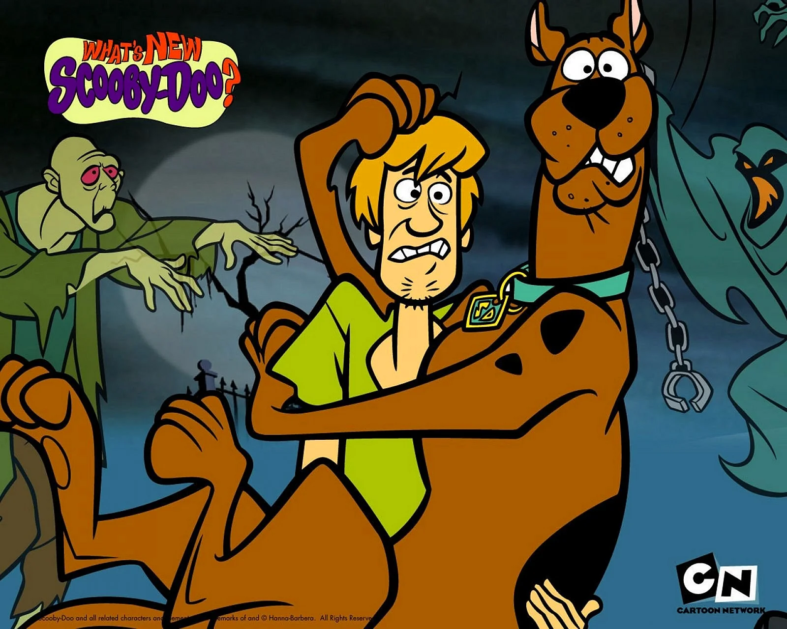 Scooby Doo Gay Wallpaper