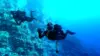 Scuba Diving Wallpaper