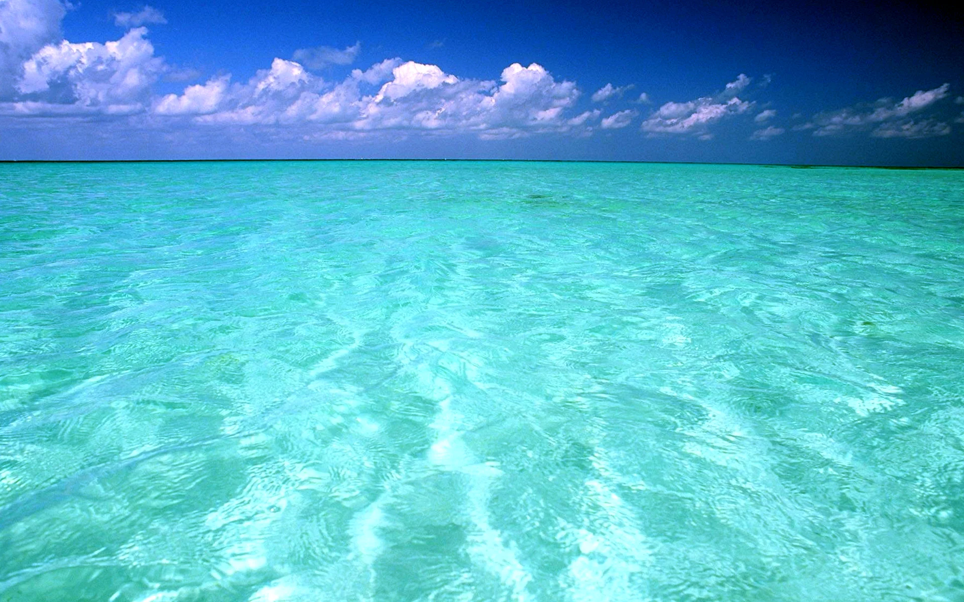 Sea Ocean Wallpaper