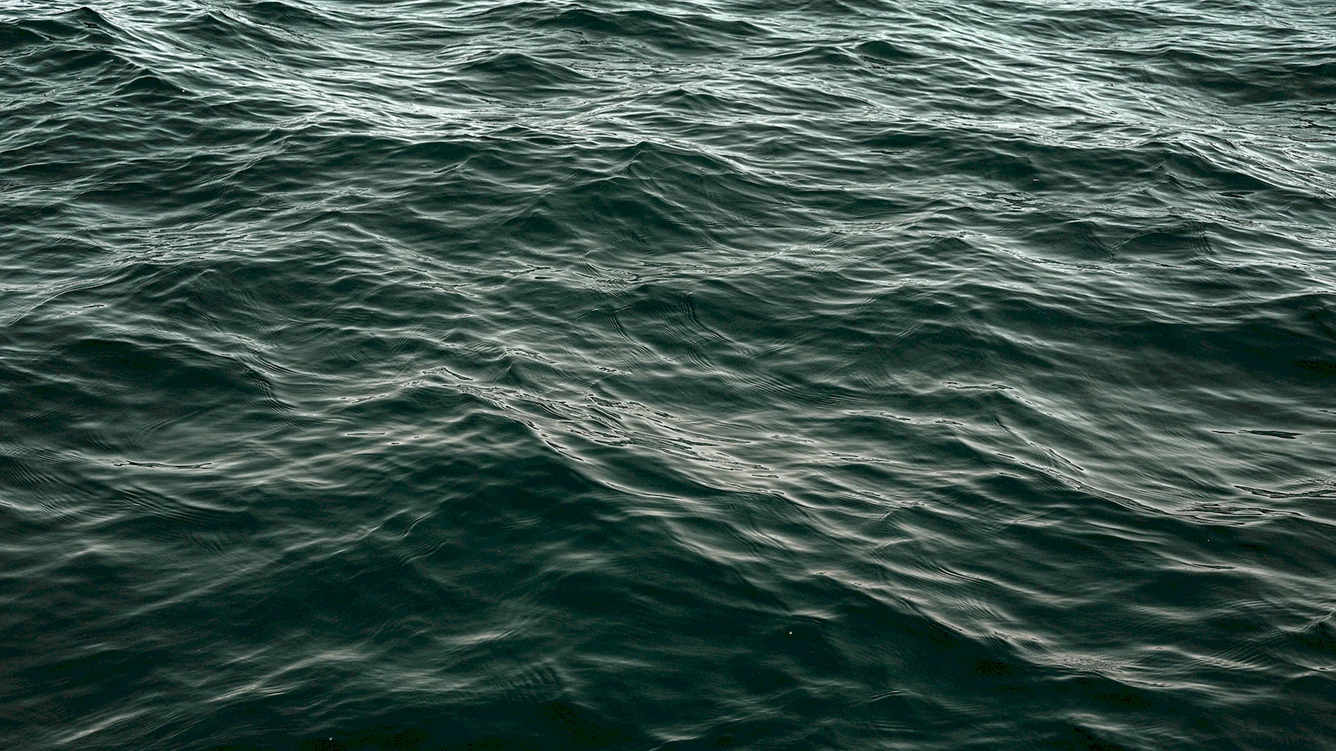 Sea Wave Texture Wallpaper