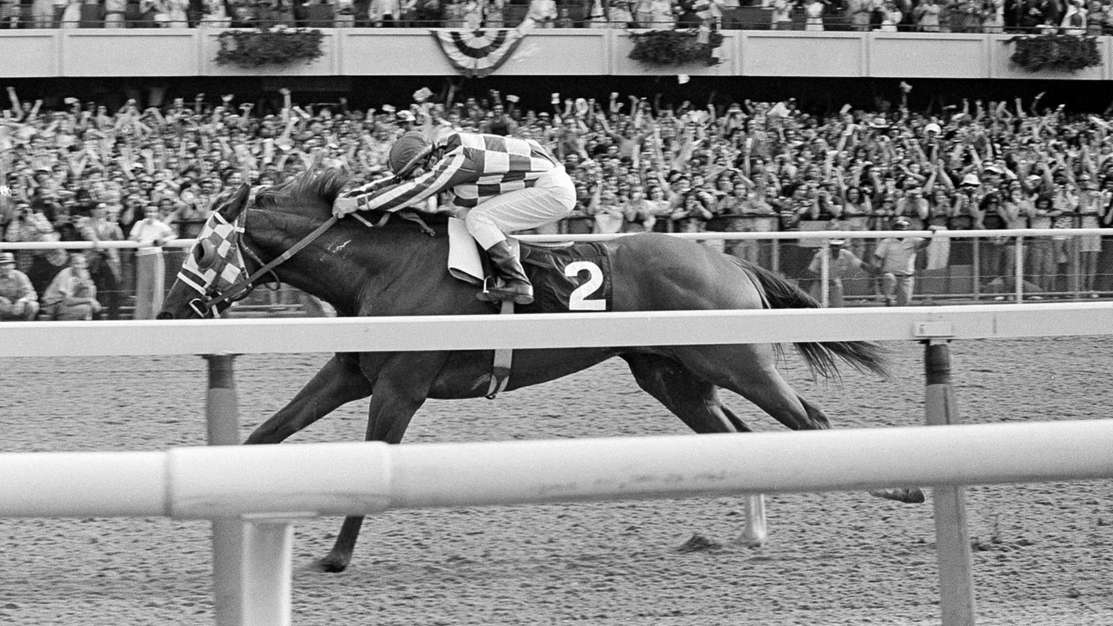 Secretariat After Winning Belmont Stakes In 1973 Wallpaper