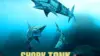 Shark Tank Amazon Wallpaper
