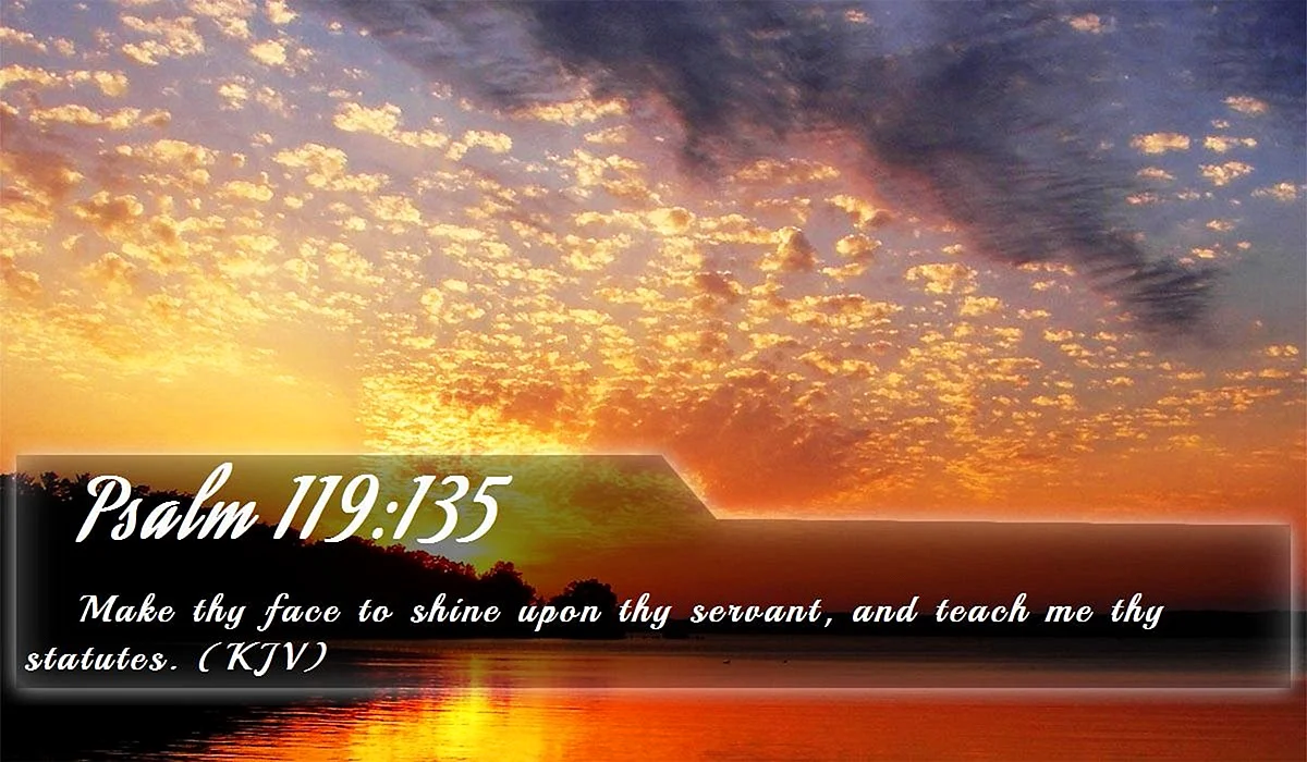 Shine Upon Wallpaper