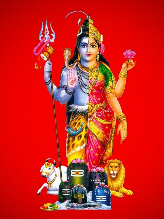 Shiv Ji Parvati Ji Wallpaper