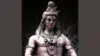Shiva Shambo Wallpaper