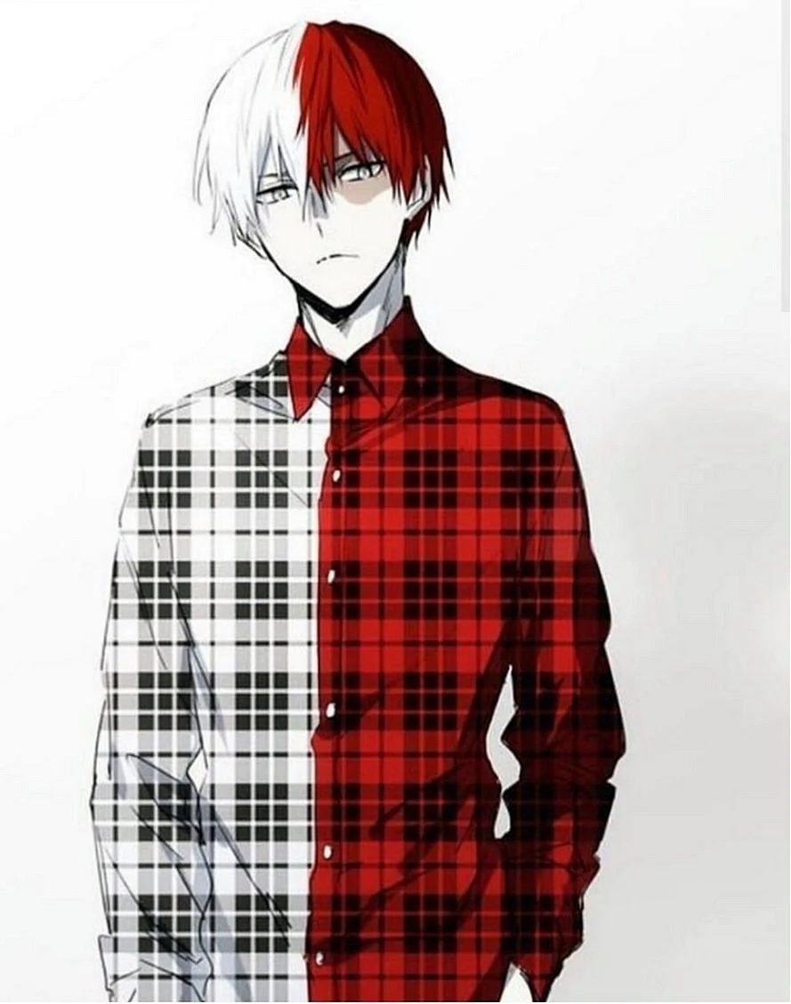 Shoto Wallpaper For iPhone