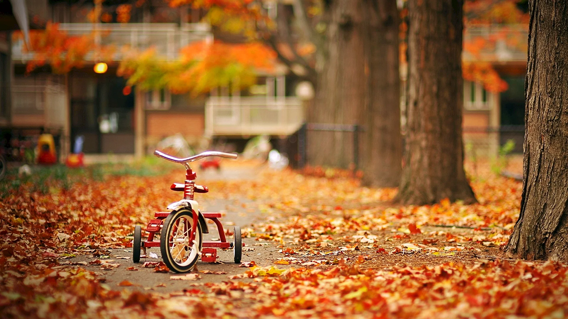 Shutterstock Autumn Wallpaper