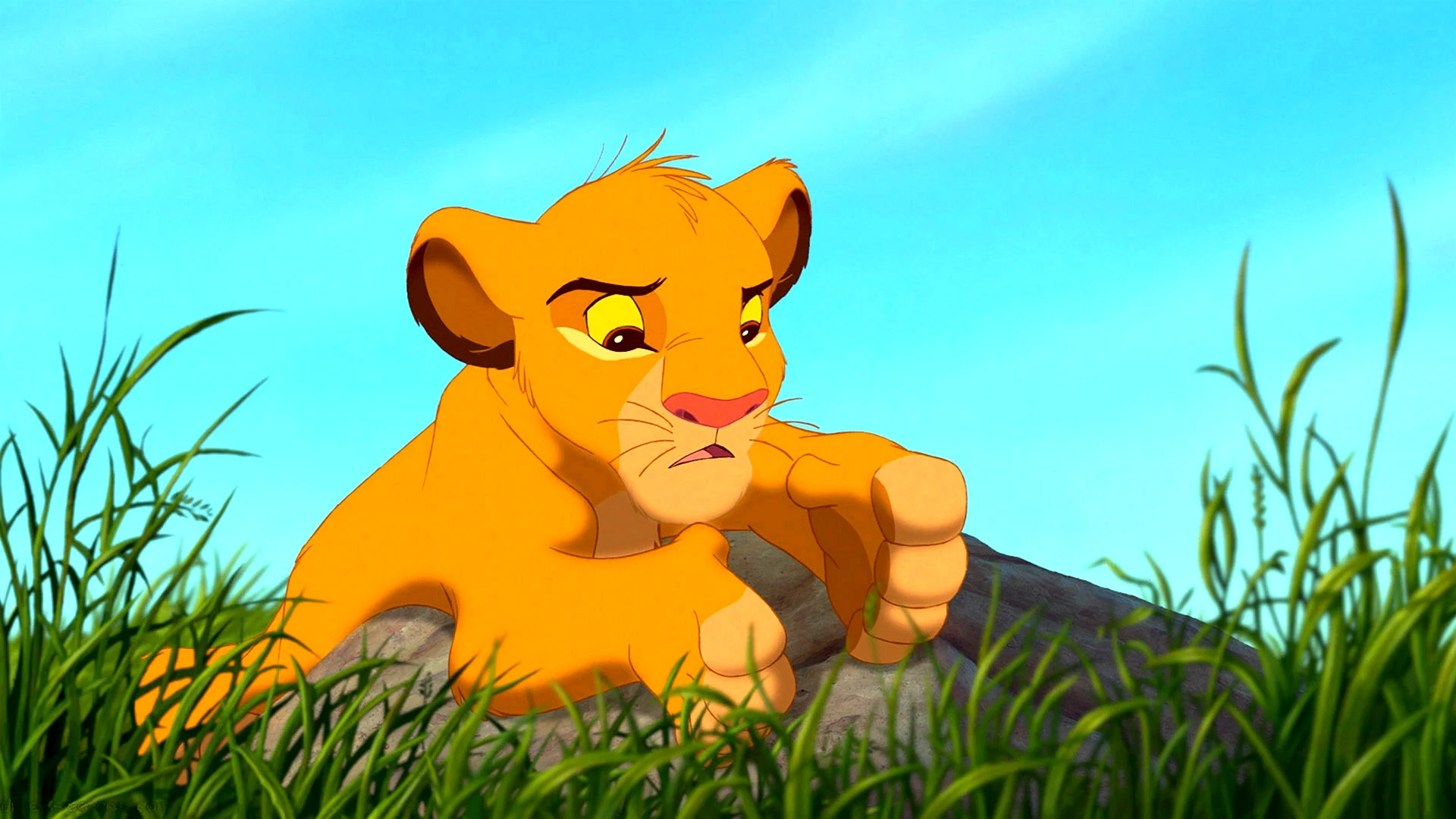 Simba Wallpaper