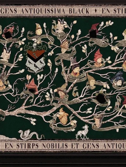 Sirius Black Family Tree Wallpaper