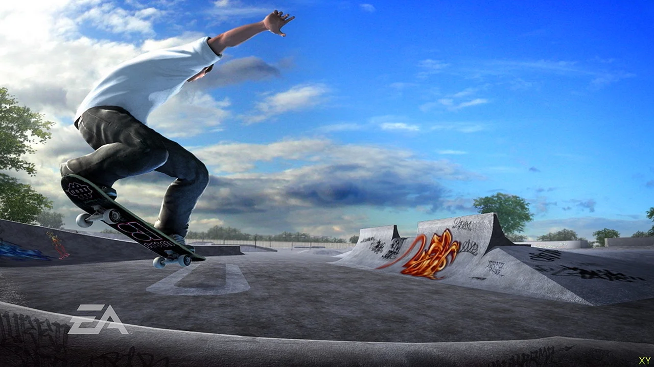 Skater Wallpaper