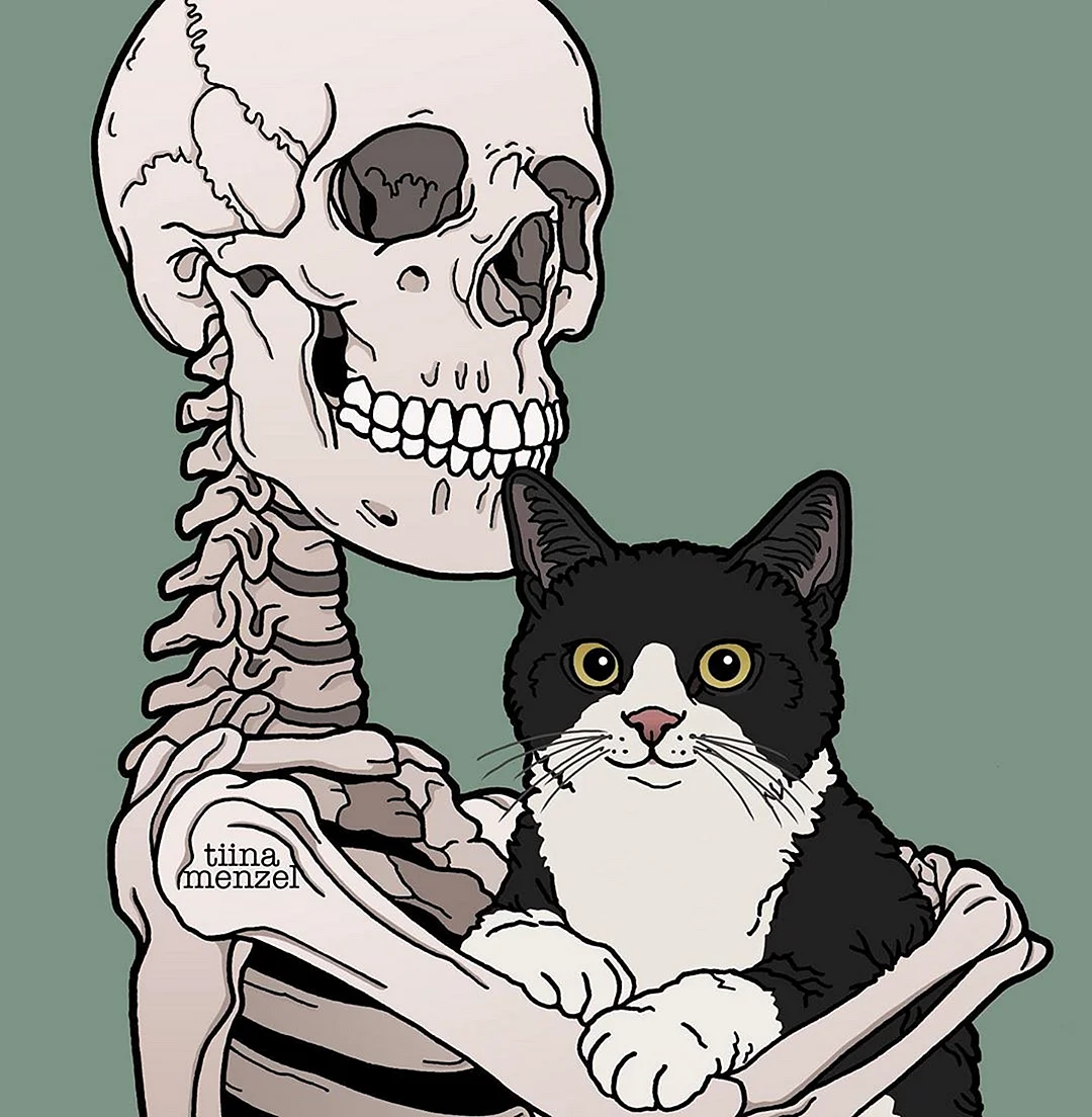 Cat And Skeleton Wallpapers – Wallpapers High Resolution