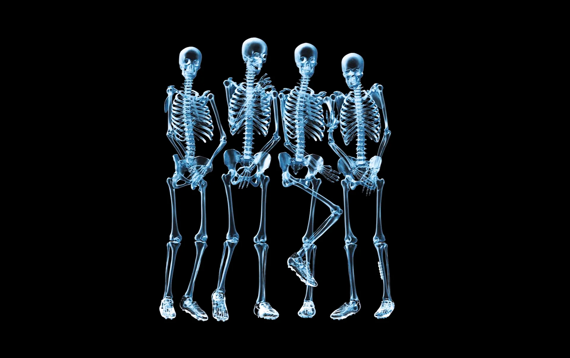 Skeleton X Ray Wallpaper
