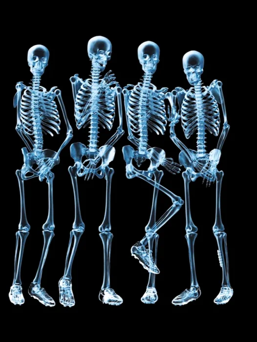 Skeleton X Ray Wallpaper