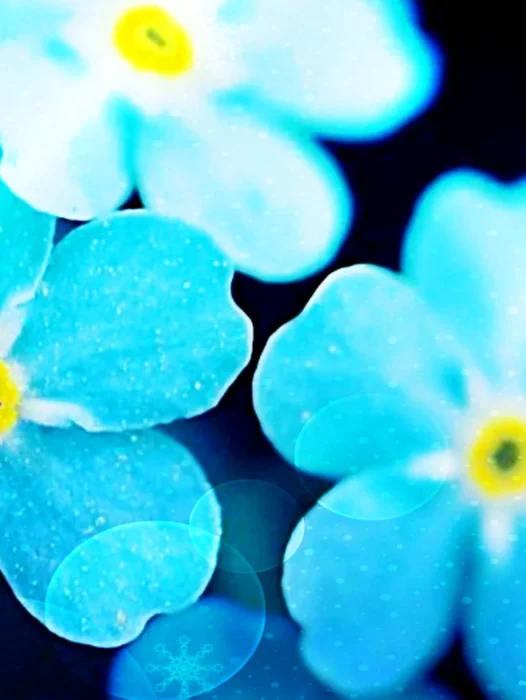 Sky Blue Flower Wallpaper