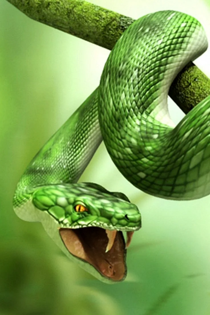 Snake Attack Wallpaper For iPhone