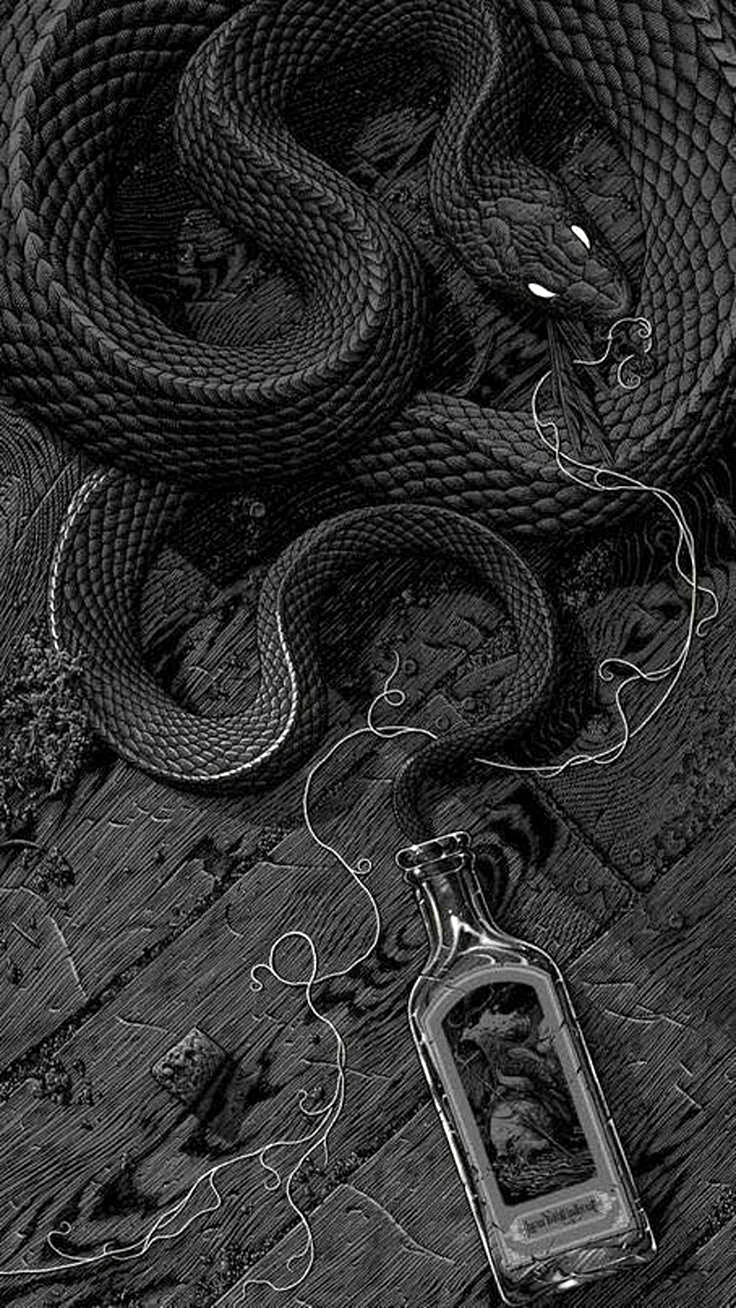Snake iPhone Wallpaper For iPhone