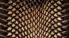 Snake Skin Texture Wallpaper