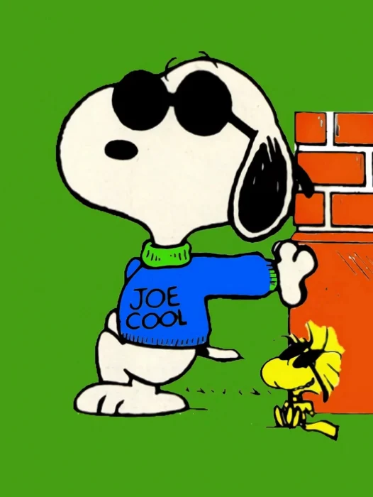 Snoopy Joe Wallpaper