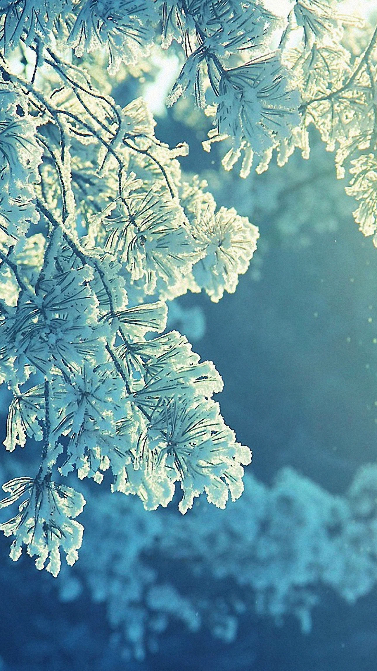 Snow Wallpaper For iPhone