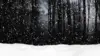 Snow Black Wallpaper